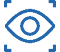 Visual Perception