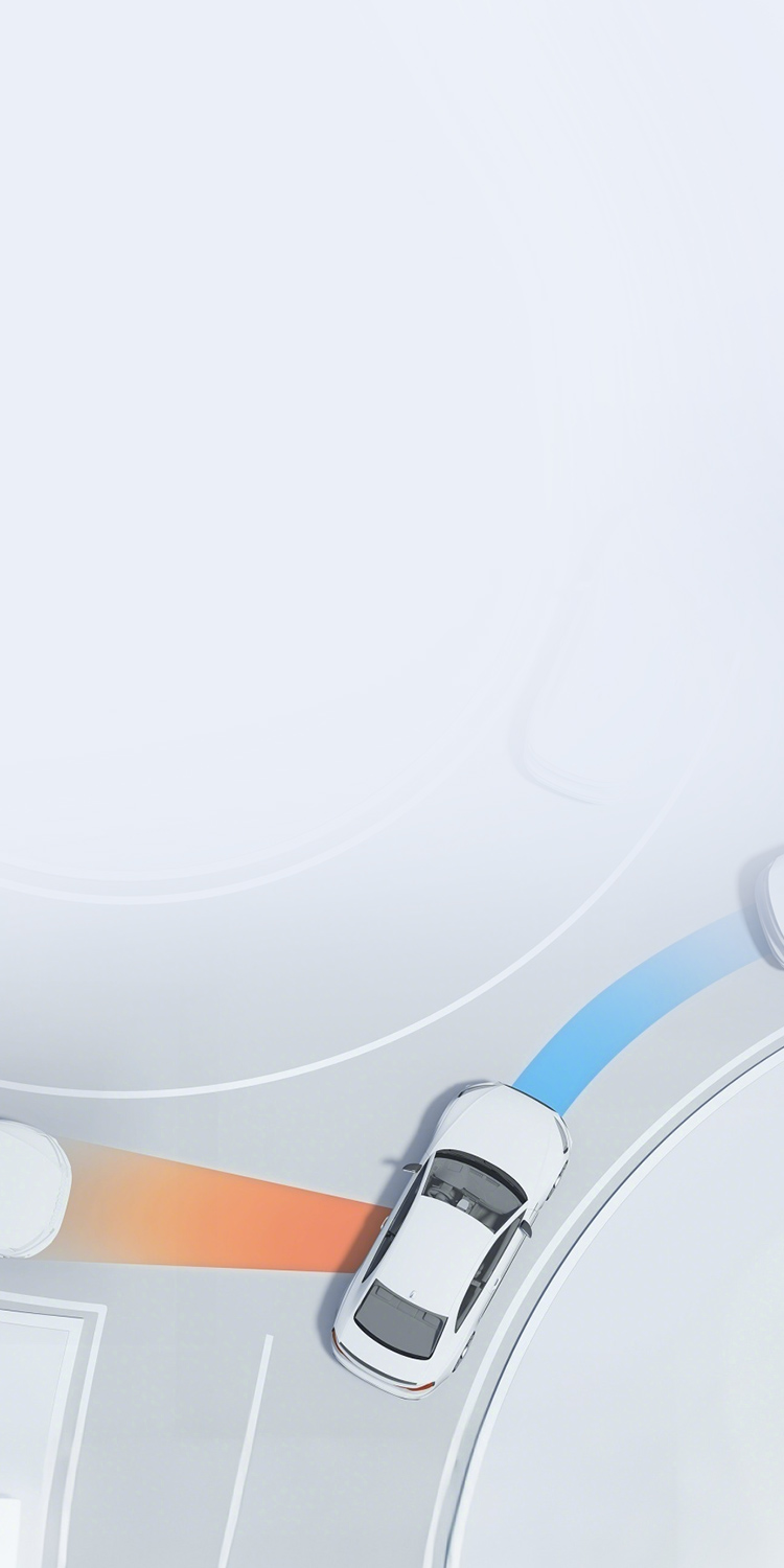 Automotive Grade and Functional Safety Technology