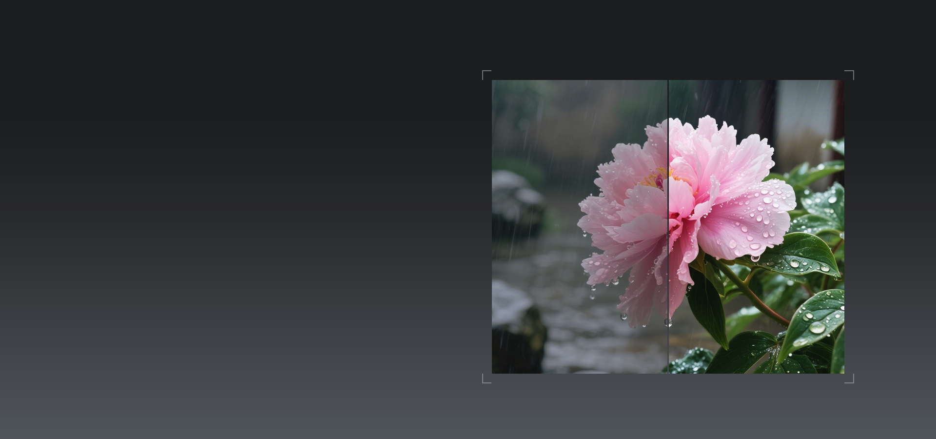 ISP and Image Enhancement Technology
