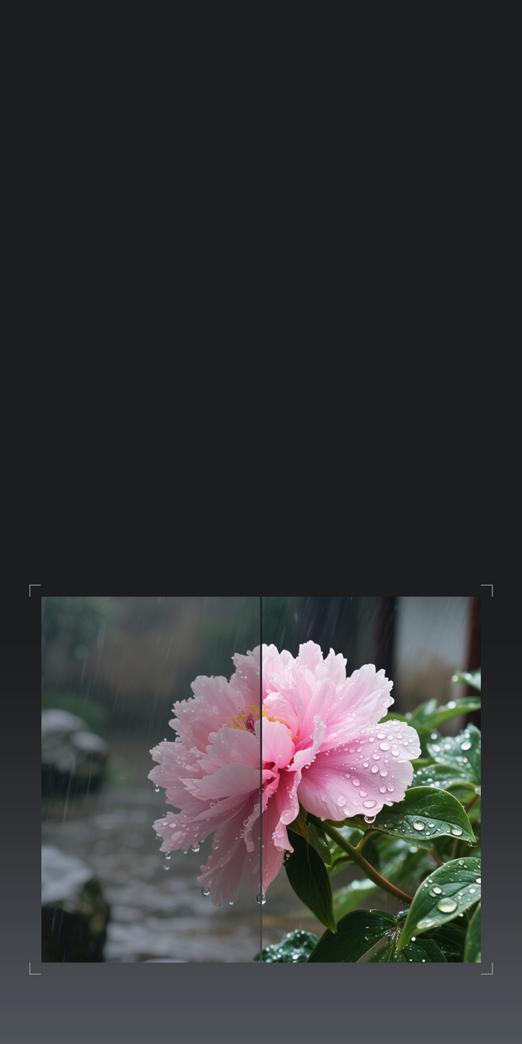 ISP and Image Enhancement Technology